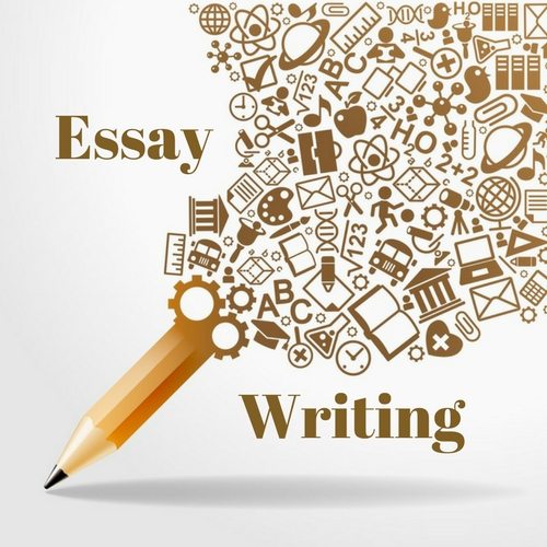 essay writing coaching online