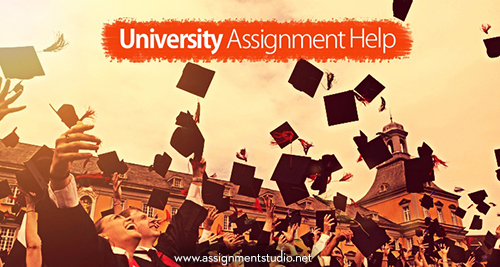 University Assignment Help