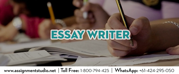 10 page essay writer