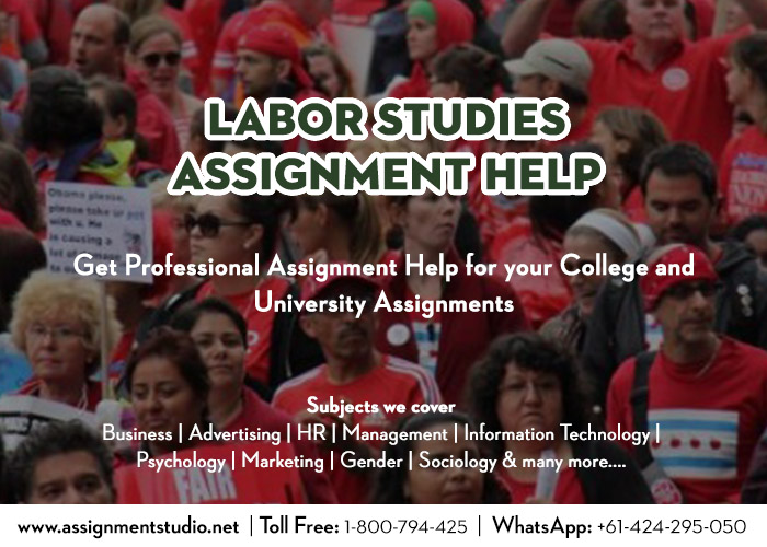 Labor Studies Assignment Help