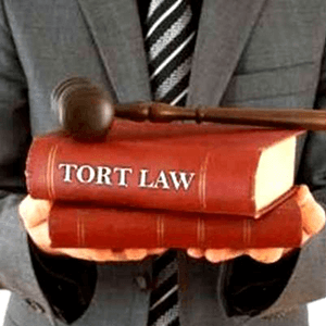 Tort Law Case