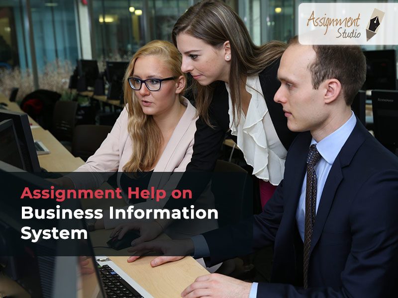 Assignment Help on Business Information System