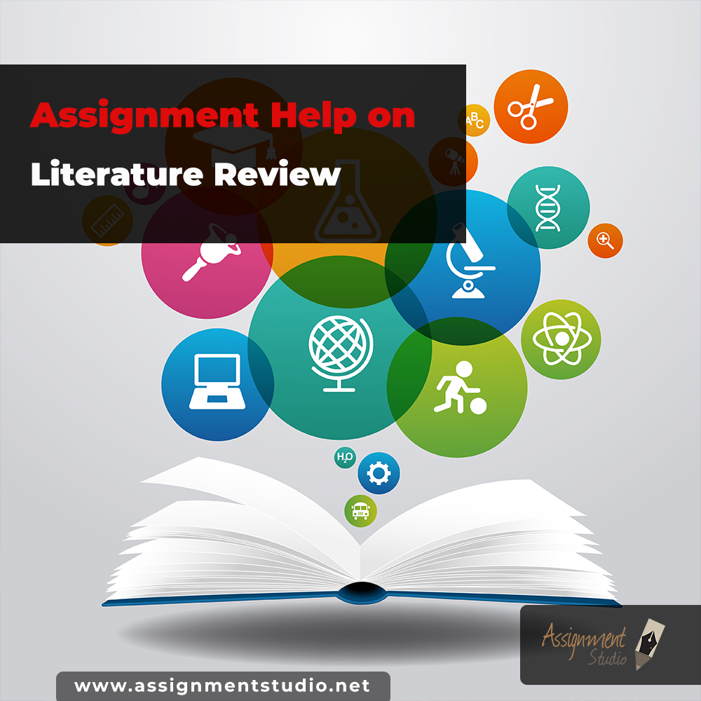 literature review assignment help