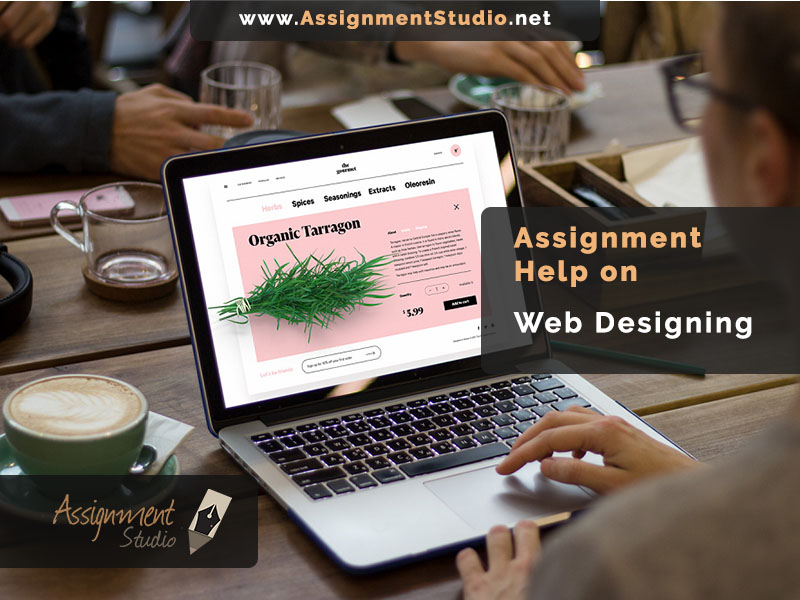 web designing assignment