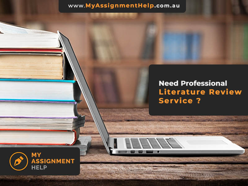 literature review service