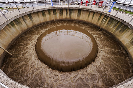 water treatment sludge