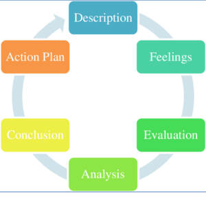 Gibbs Reflective Cycle - Assignment Help Australia