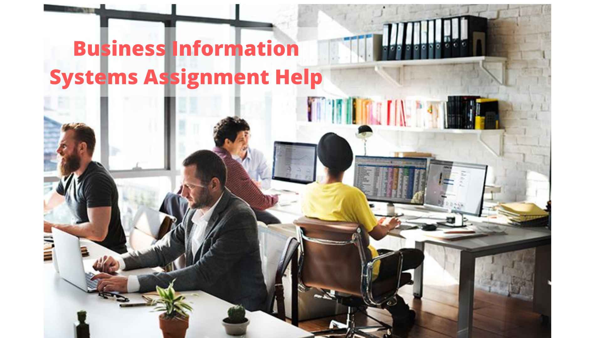 Business information system assignment help