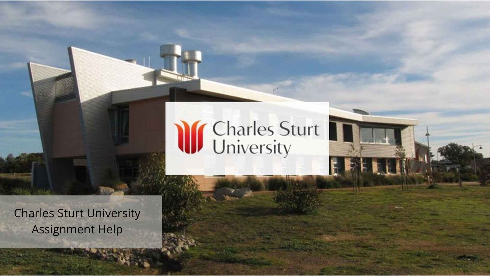 charles sturart university assignment help