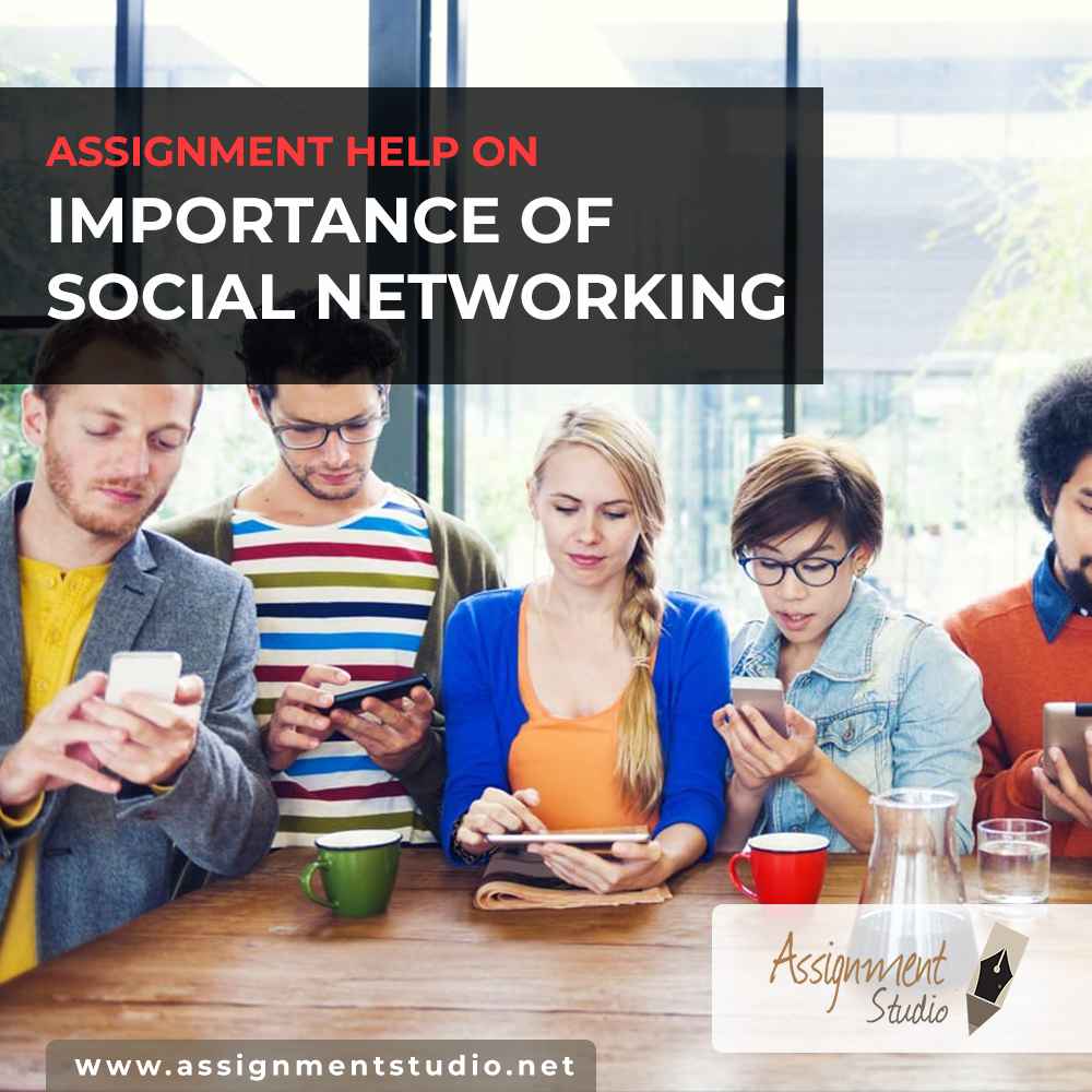 Assignment help on importance of social networking