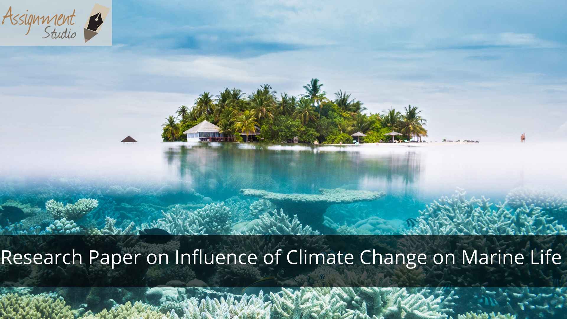 research paper on influence of climate change on marine life