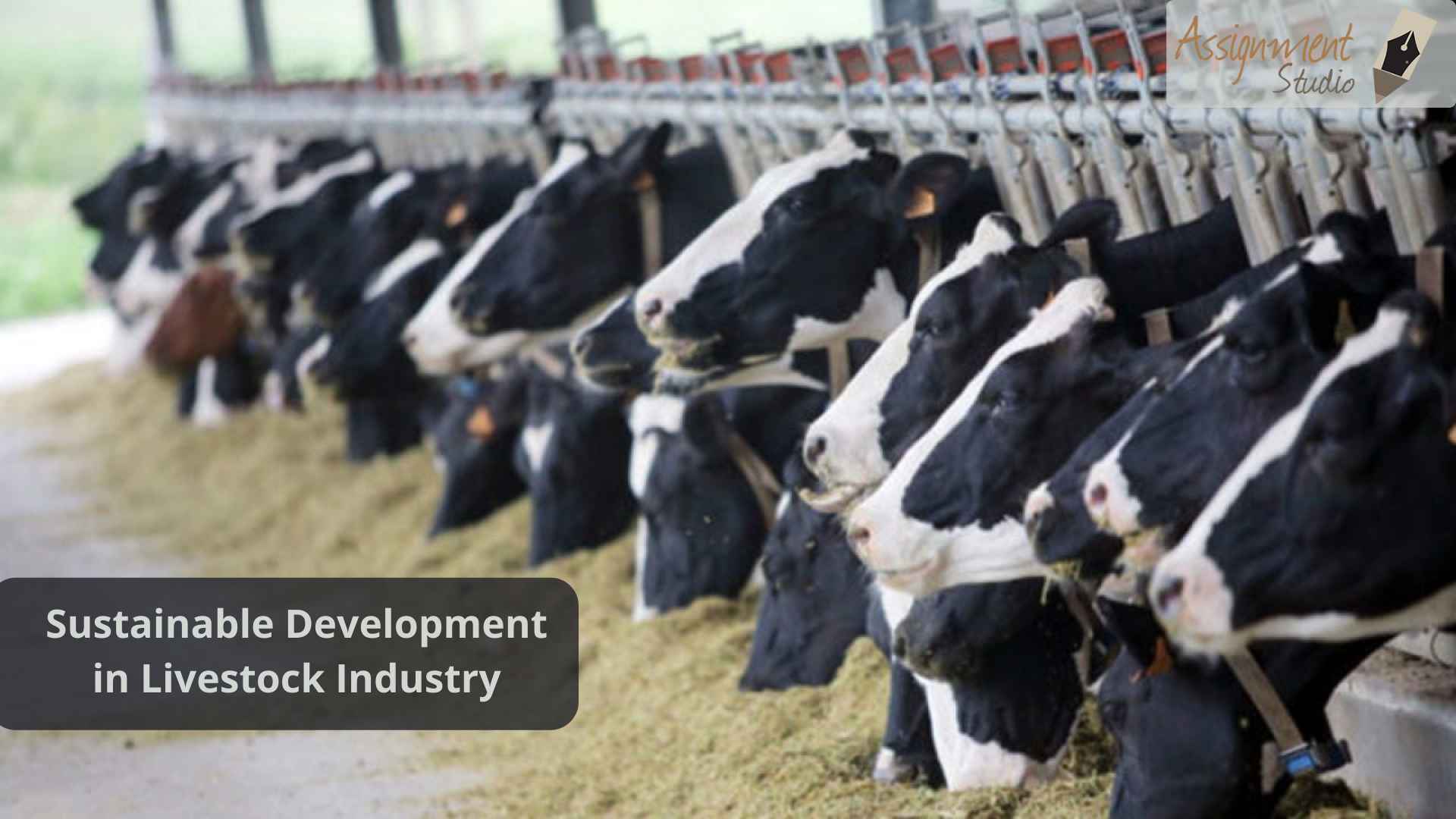 Sustainable development in live stock industry