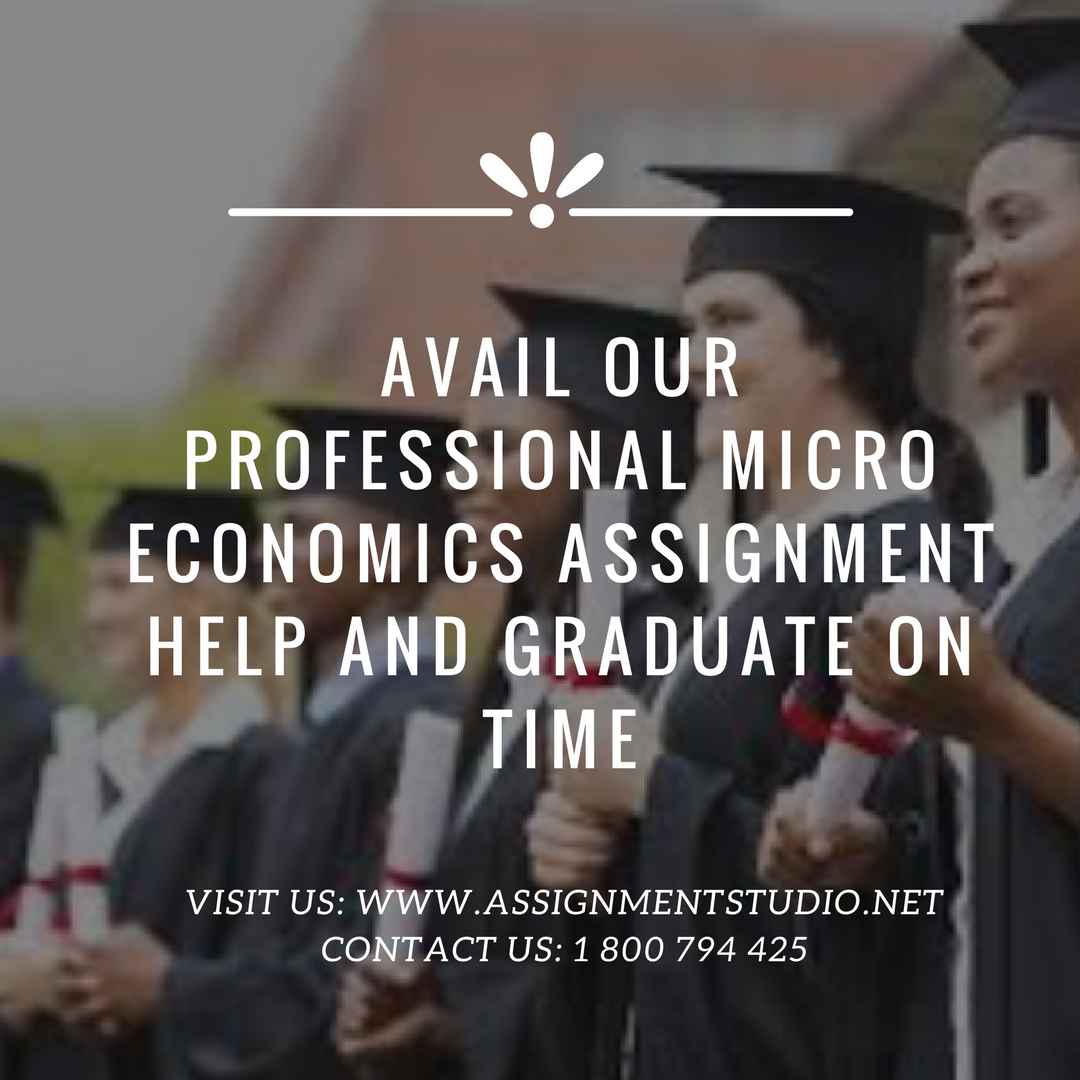 Avail our professional micro economics assignment help 