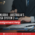 LML6004 - Australia's Visa System 2