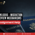 LML6006 - Migration Review Mechanisms