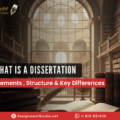 What is a Dissertation