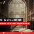 What is a Dissertation